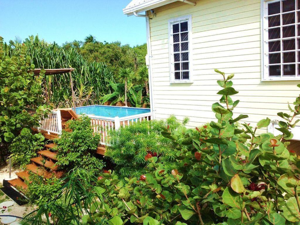 Hidden Gem Cabana Caye Caulker Buitenkant foto